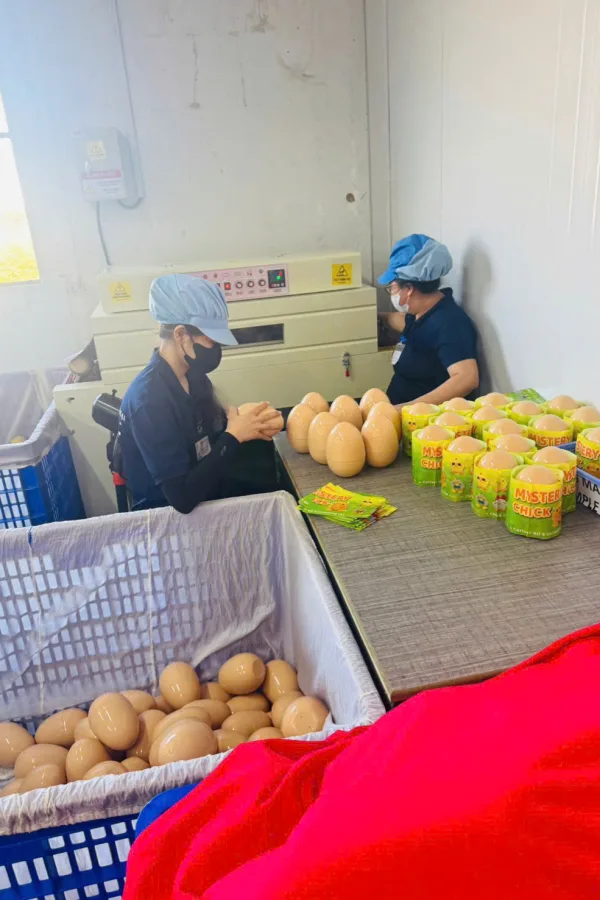 Kiểm tra nguyên liệu bông trước khi may thú bông